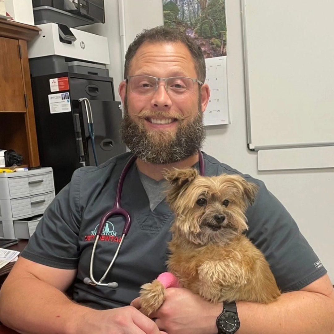 Happy Veterinarian Holding Small Terrier Dog