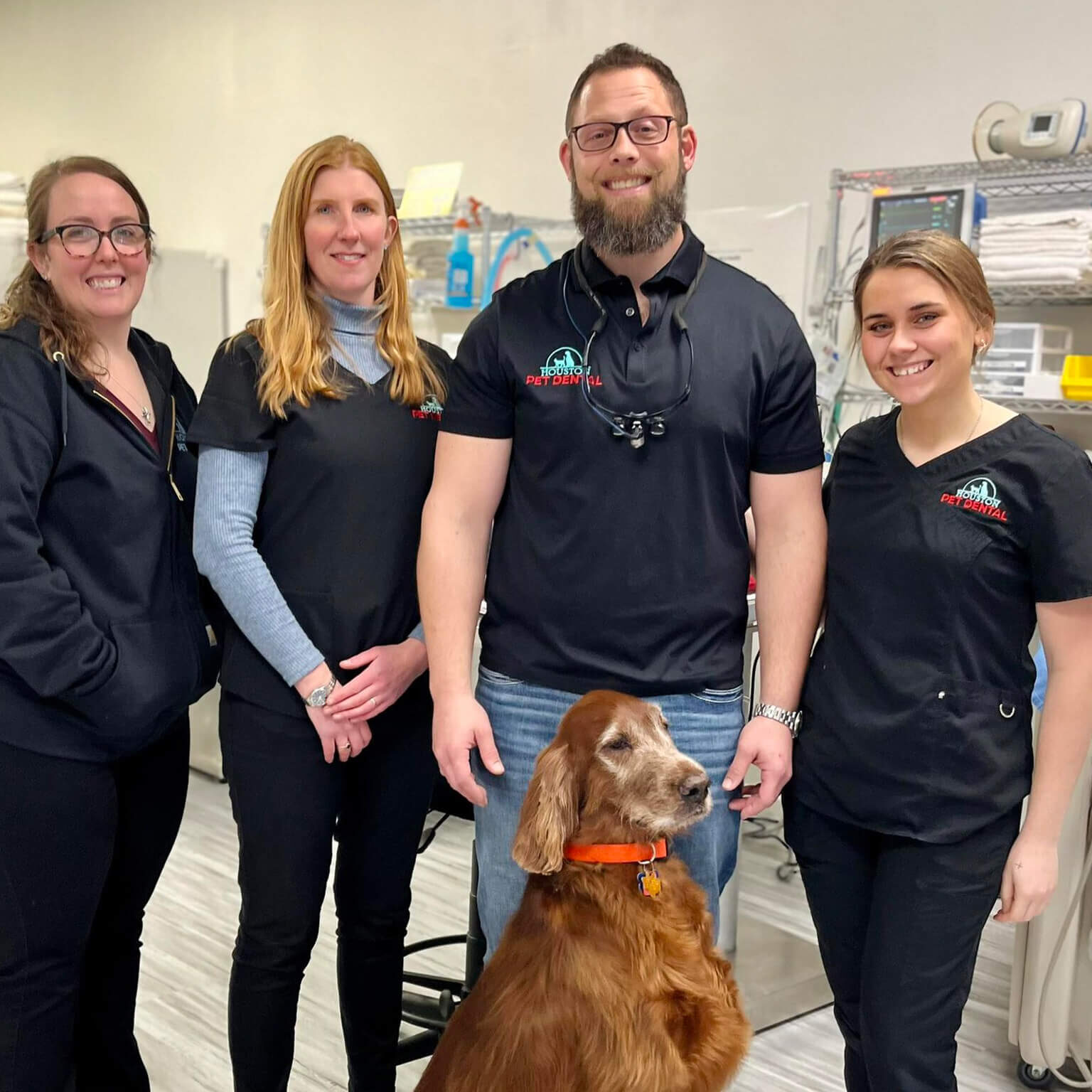 Houston Pet Dental Veterinary Team